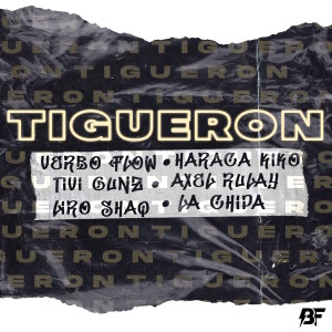 Listen to Tigueron song with lyrics from Verbo Flow