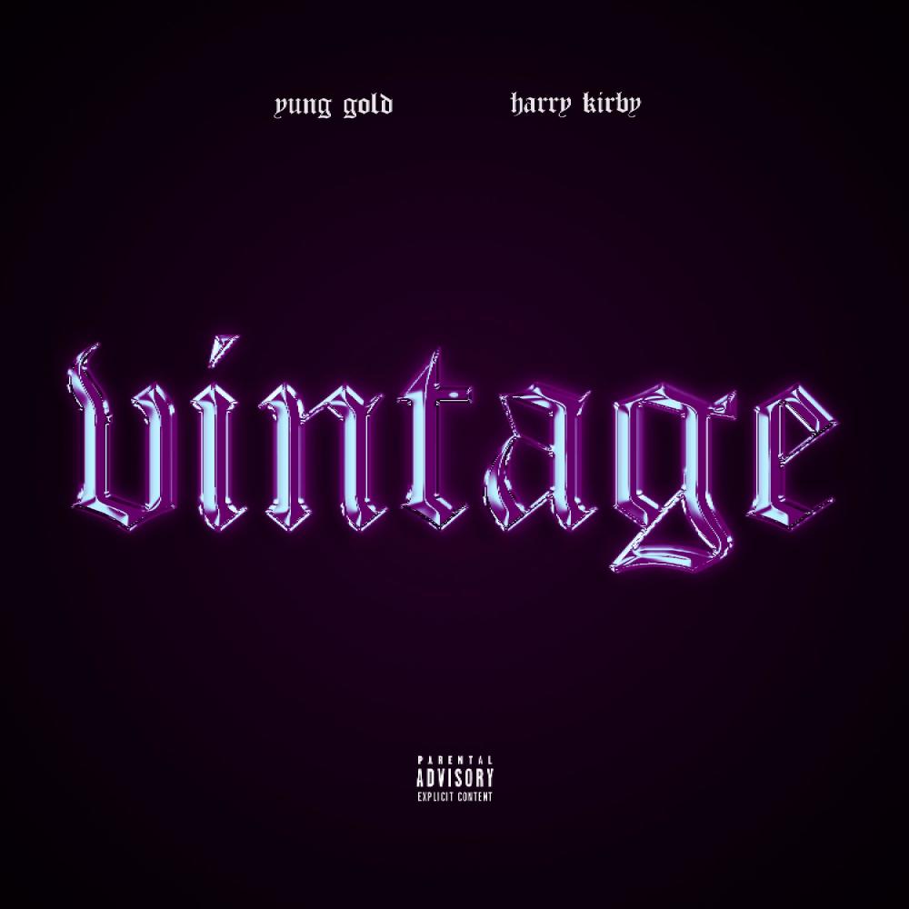 VINTAGE (feat. harrykirby) (Explicit)