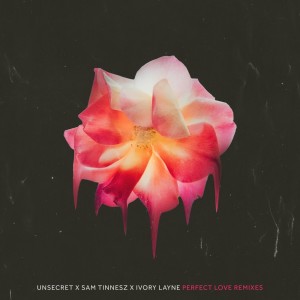 ดาวน์โหลดและฟังเพลง Perfect Love - Yacht Money Remix พร้อมเนื้อเพลงจาก UNSECRET