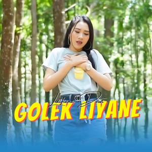 Lutfiana Dewi的專輯Nggolek Liyane