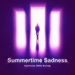 Listen to Summertime Sadness (Techno Version) song with lyrics from Hypermorph