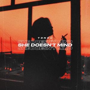 T3NZU的專輯She Doesn't Mind x All Around The World