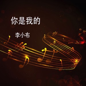 收听李小布的你是我的歌词歌曲