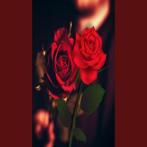 Un trandafir creste la firida mea (Remix)