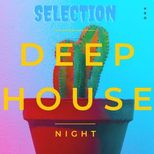Various Artists的專輯Deep House night