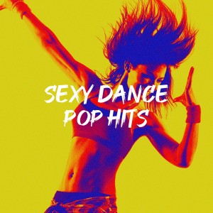 Album Sexy Dance Pop Hits oleh #1 Disco Dance Hits