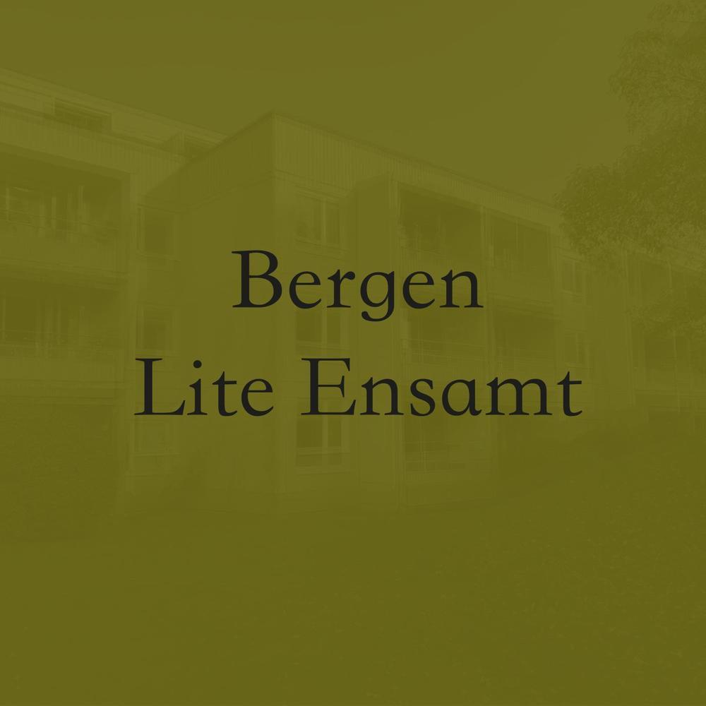 Lite Ensamt