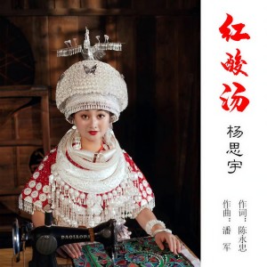Listen to 红酸汤 (完整版) song with lyrics from 杨思宇