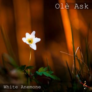 收聽Olé Ask的The Ocean Between Us (feat. Kari Iveland, Katja Rickermann & Paul Warren)歌詞歌曲