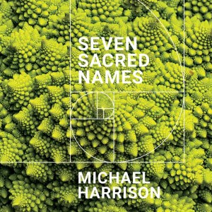 Michael Harrison的專輯Michael Harrison: Seven Sacred Names