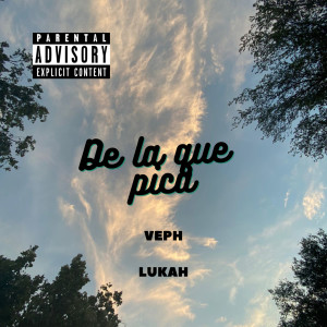 Lukah的专辑De La Que Pica