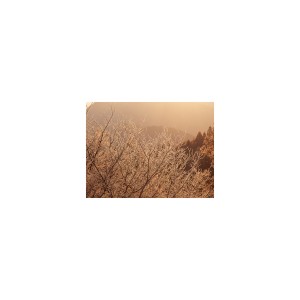 收聽群星的Disorganized BGM歌詞歌曲