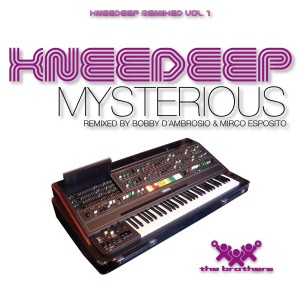 收聽Knee Deep的Mysterious (Instrumental Vocal Remix)歌詞歌曲