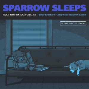Album Take This To Your Grades: Lofi covers of Fall Out Boy songs from Sparrow Sleeps
