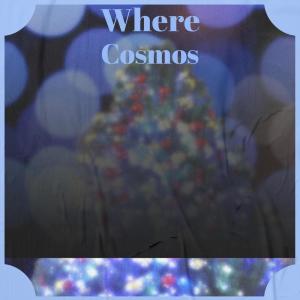 ดาวน์โหลดและฟังเพลง Where Cosmos พร้อมเนื้อเพลงจาก Emen Bige