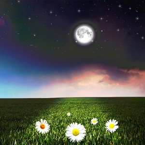 收聽艾麗絲Alice的阿爾法腦波音樂 放鬆身心 舒緩壓力催眠曲 (完整版)歌詞歌曲