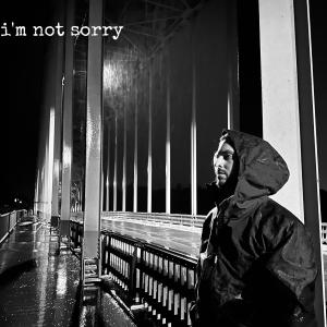 string us together的專輯i'm not sorry (Explicit)