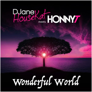 DJane HouseKat的专辑Wonderful World
