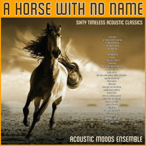 Acoustic Moods Ensemble的專輯A Horse With No Name