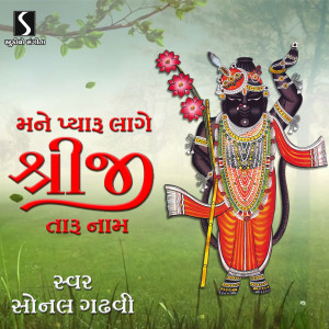 Dengarkan Mane Pyaru Lage Shreeji Taru Naam lagu dari Sonal Gadhvi dengan lirik