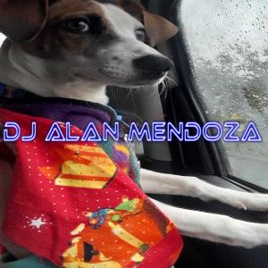 ดาวน์โหลดและฟังเพลง Perreo พร้อมเนื้อเพลงจาก Alan Mendoza DJ