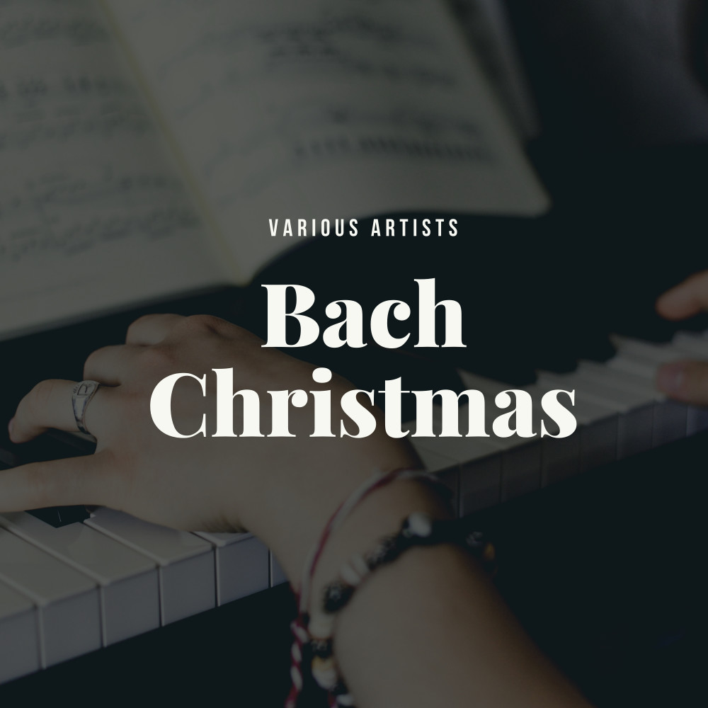 Christmas Oratorio, Bwv 248 Pt. 2: So Recht, Ihr Engel