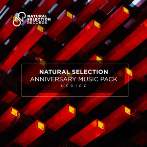 Various Artists的專輯Natural Selection Anniversary Music Pack