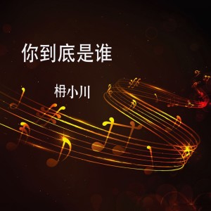 Listen to 你到底是谁 song with lyrics from 枏小川