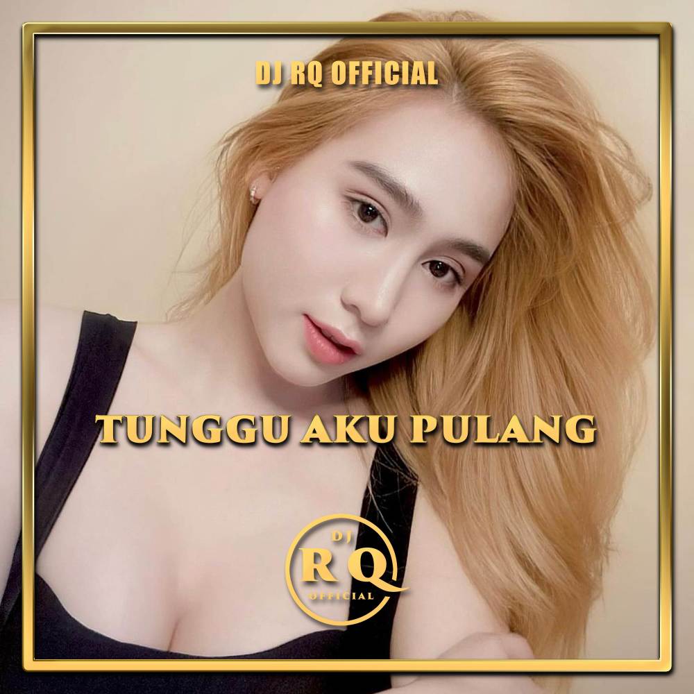 Tunggu Aku Pulang (Remix)