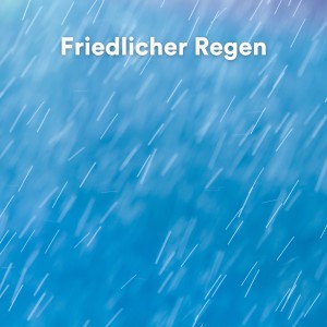 Listen to Klavier und Meeresgeräusche zum Relaxen, Pt. 6 song with lyrics from Regengeräusche