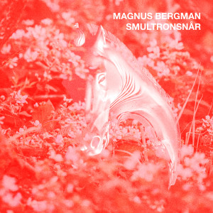 收聽Magnus Bergman的Smultronsnår歌詞歌曲