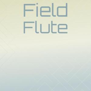 Various Artists的專輯Field Flute