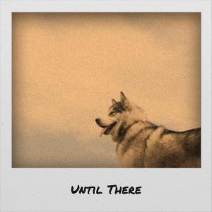 收聽Alee Cest的Until There歌詞歌曲