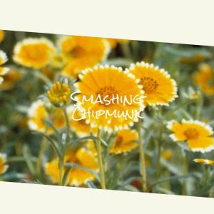 Listen to Ourselves Hey song with lyrics from Melly Haki