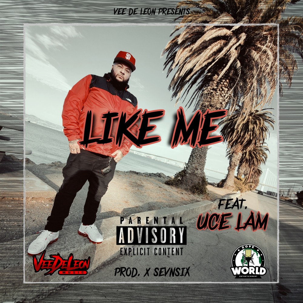 Like Me (Explicit)