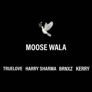 Listen to MOOSE WALA (feat. Kerry) song with lyrics from Harry Sharma