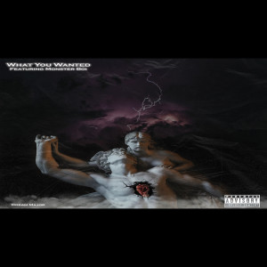 Listen to What You Wanted (Explicit) song with lyrics from New Boy Genius