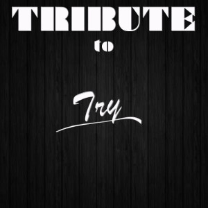 ดาวน์โหลดและฟังเพลง Try พร้อมเนื้อเพลงจาก Cover Crew