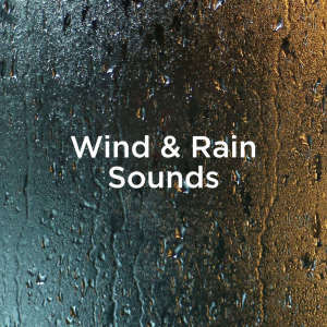 Dengarkan Rainforest Ambience lagu dari Rain Sounds dengan lirik