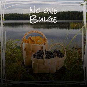 Album No one Bulge oleh Various