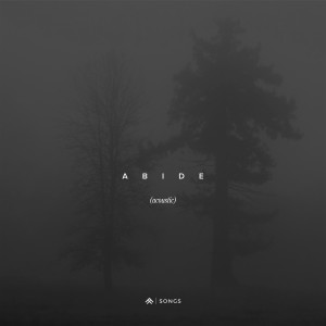 Listen to Abide (Acoustic) song with lyrics from Dwell Songs