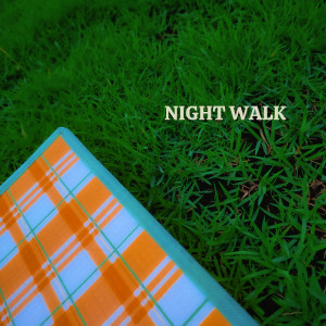Album 밤산책 (NIGHT WALK) [Explicit] from 