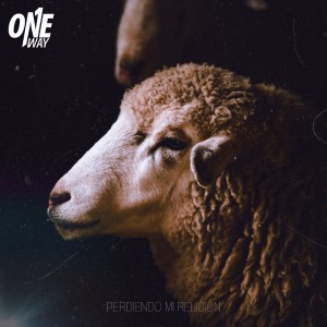 收聽Thomy Plows的Nueva Identidad歌詞歌曲