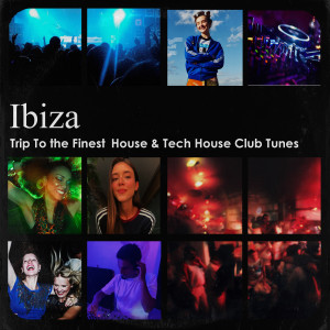 ดาวน์โหลดและฟังเพลง True Vibration พร้อมเนื้อเพลงจาก Tripmann