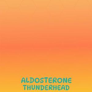 Album Aldosterone Thunderhead oleh Various