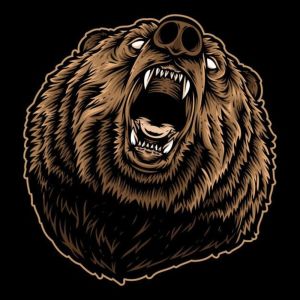 Album E COM A TROPA DO URSO (Explicit) from 
