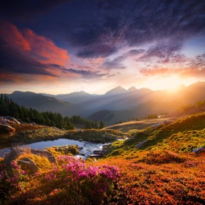 ดาวน์โหลดและฟังเพลง Lulled By Silent Rhythms พร้อมเนื้อเพลงจาก Relaxing Vibes