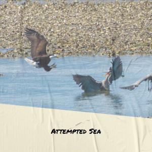 Listen to Vitruvius song with lyrics from Doha Duen