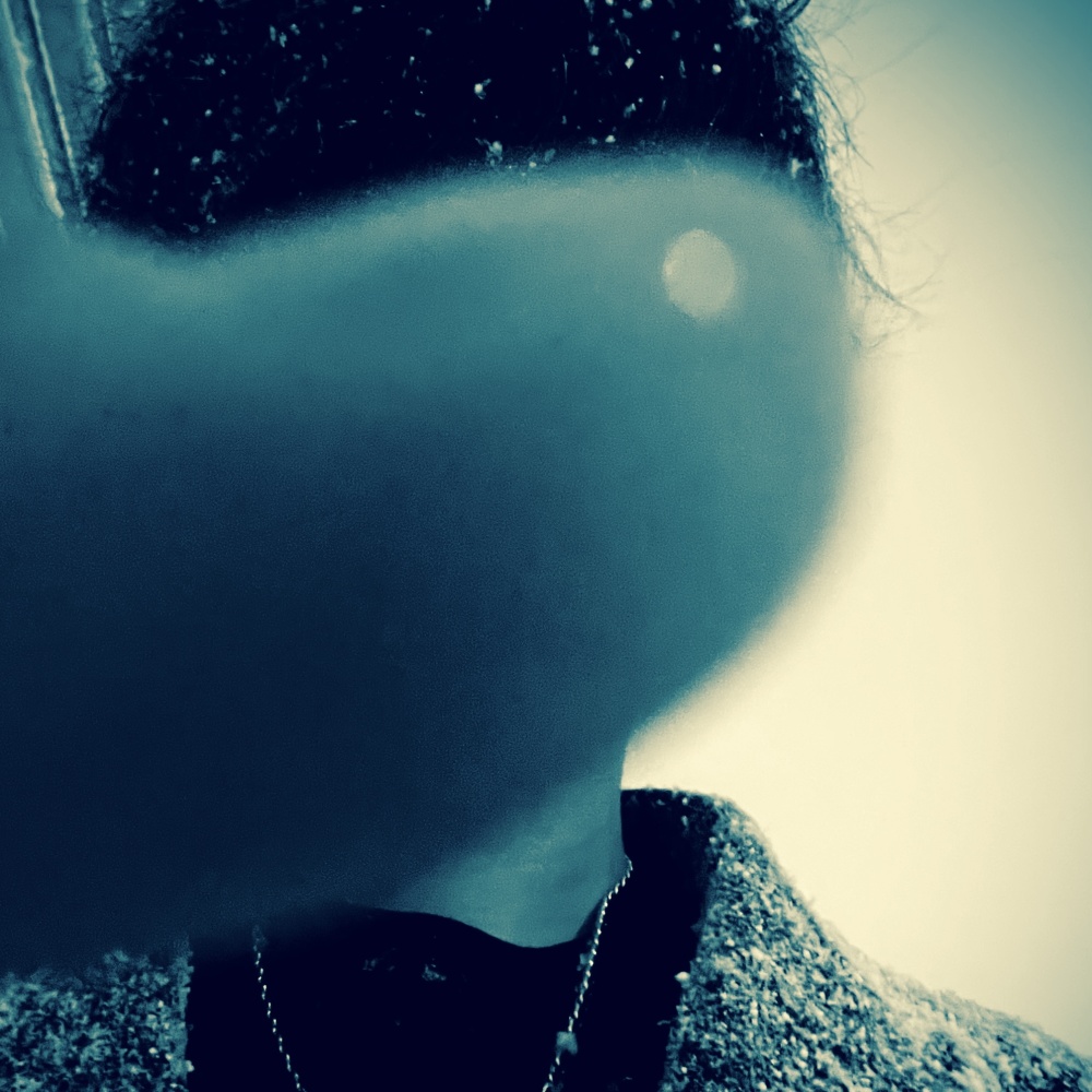 Night to Lie