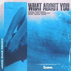 Listen to What About You (feat. Diana Miro, Hugo Cantarra & Stone Van Brooken) (Jako Diaz Remix) song with lyrics from Jako Diaz